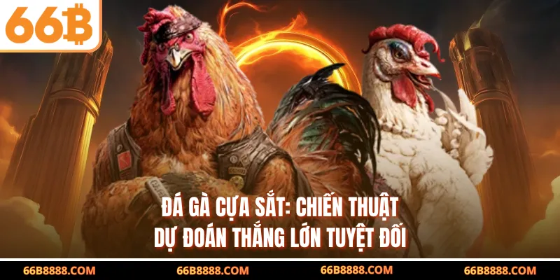 Đá Gà Cựa Sắt: Chiến Thuật Dự Đoán Thắng Lớn Tuyệt Đối