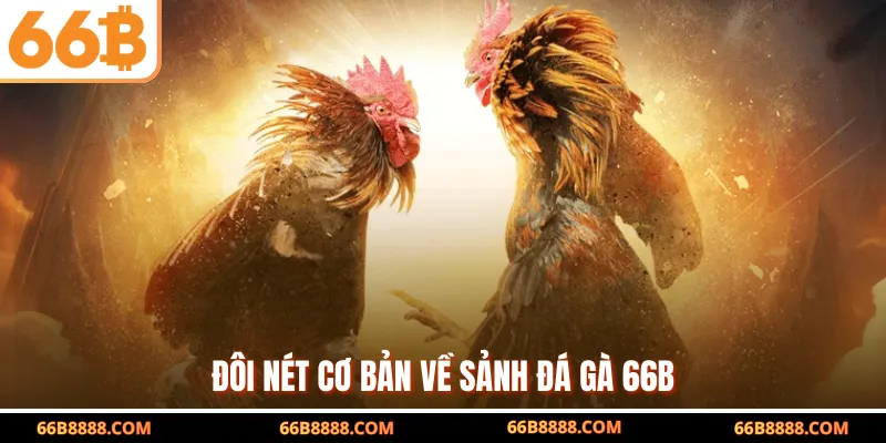 Đôi nét cơ bản về sảnh đá gà 66B